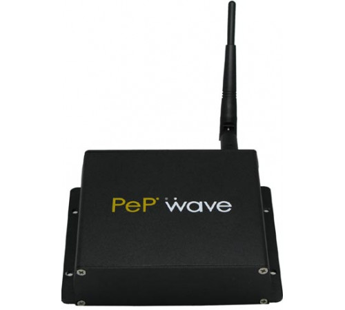 Pepwave PolePoint 200