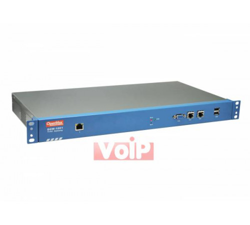 VoIP шлюз E1 OpenVox DGW-1001R однопортовый